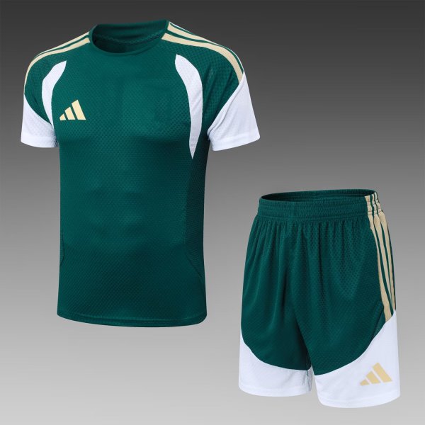 2026 AD Green High Quality Player Version Training Short Suit (球员套装)