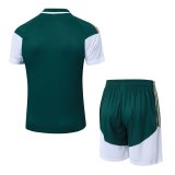 2026 AD Green High Quality Player Version Training Short Suit (球员套装)
