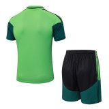 2026 AD Green High Quality Player Version Training Short Suit (球员套装)