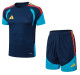 2026 AD Blue High Quality Player Version Training Short Suit (球员套装)