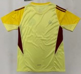 25-26 Colombia Yellow GoalKeeper Fans Soccer Jersey
