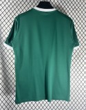 26-27 AD Oasis Green Casual Edition Training shirts
