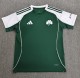 26-27 Celtic Special Edition Fans Soccer Jersey