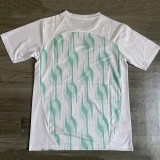 25-26 Palmeiras White Training Shirts