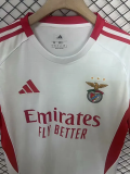 25-26 Benfica Third Fans Soccer Jersey