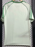 25-26 Celtic Light Green Special Edition Fans Soccer Jersey