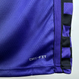 23-24 Kings LAVINE #8 Purple Top Quality Hot Pressing NBA Jersey (Trapeze Edition)飞人版