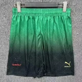 25-26 ACM Fourth Shorts Pants