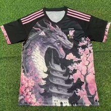 24-25 Japan Special Edition Fans Version Soccer Jersey