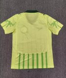 25-26 Palmeiras Special Edition Fans Soccer Jersey