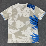 25-26 Brazil White Special Edition Training shirts (蓝队标-鹰)