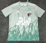 25-26 Algeria Grey Green Special Edition Fans Soccer Jersey