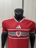 2026 Wales Home Player Version Soccer Jersey