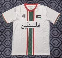 25-26 Palestine Special Edition Fans Soccer Jersey 25-26 Palestine Special Edition Fans Soccer Jersey