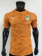 2026 Cote d'Ivoire Home Player Version Soccer Jersey