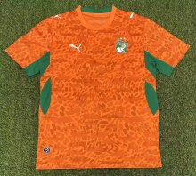 2026 Cote d'Ivoire Home Fans Soccer Jersey