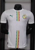 24-25 Senegal Home Player Version Soccer Jersey*两颗星
