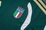 2026 Italy Green High Quality Player Version Training Short Suit (球员套装)