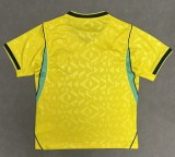 2026 Brazil Home Fans Soccer Jersey*有暗纹