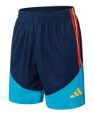 2026 AD Blue High Quality Player Version Training Short Suit (球员套装)