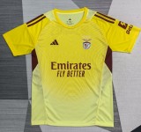 25-26 Benfica Yellow GoalKeeper Fans Soccer Jersey