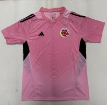 25-26 Colombia Pink GoalKeeper Fans Soccer Jersey 25-26 Colombia Pink GoalKeeper Fans Soccer Jersey