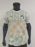 2026 Cote d'Ivoire Away Player Version Soccer Jersey