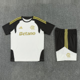 26-27 Flamengo High Quality Training Short Suit