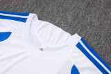 26-27 JUV High Quality Training Short Suit