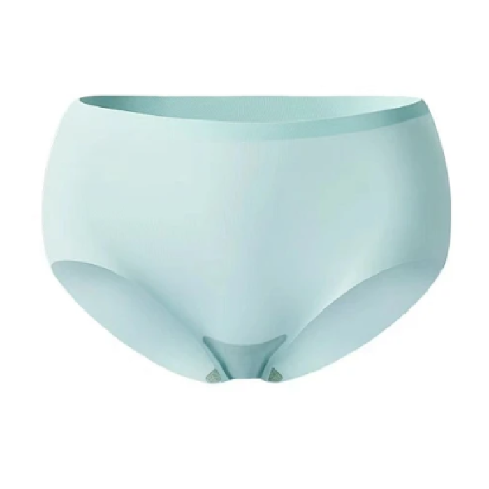 Caterlove Women's Seamless Underwear No Show Stretch Bikini Panties Silky Invisible Hipster 6 Pack