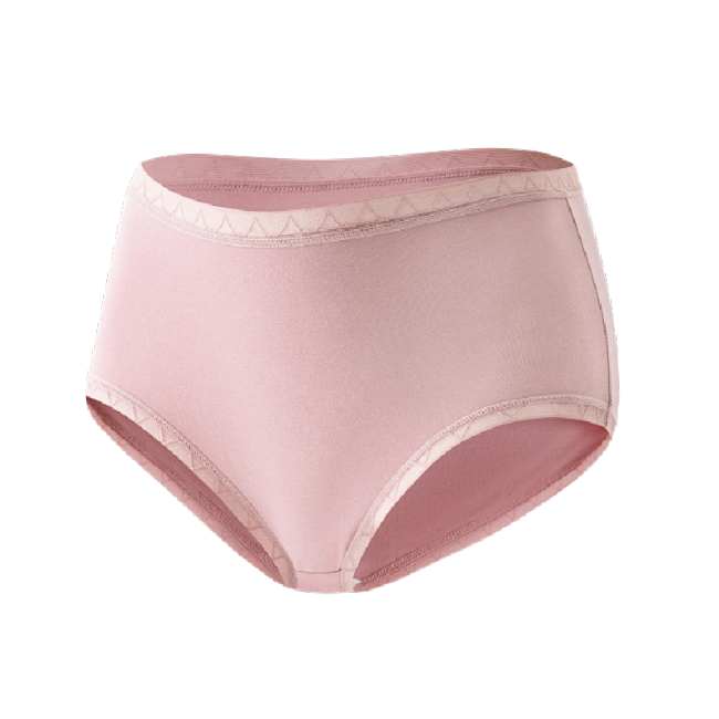 Caterlove Women's Seamless Underwear No Show Stretch Bikini Panties Silky Invisible Hipster 6 Pack