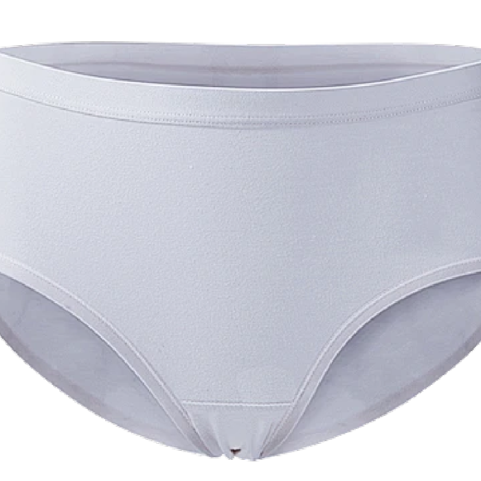 Caterlove Women's Seamless Underwear No Show Stretch Bikini Panties Silky Invisible Hipster 6 Pack