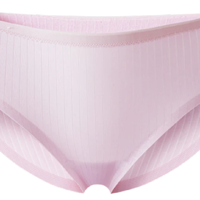 Caterlove Women's Seamless Underwear No Show Stretch Bikini Panties Silky Invisible Hipster 6 Pack