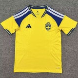 25/26 Sweden home football Jersey