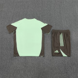 25/26 Real Madrid Short sleeve Adult training suit light green