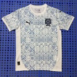 25/26 Portugal training football Jersey