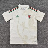 25/26 Wales Away football Jersey
