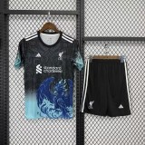 25/26 Liverpool  Adult set Special Edition