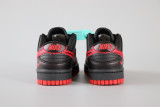 Nike SB Dunk Low Pro Co branded Low Bang kids Shoes