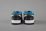 Nike SB Dunk Low Pro Co branded Low Bang kids Shoes