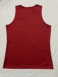 British and Irish Lions vest