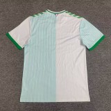 22/24 Saint Étienne away football jersey