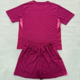 25/26 Tottenham Hotspur Goalkeeper kids kit purple