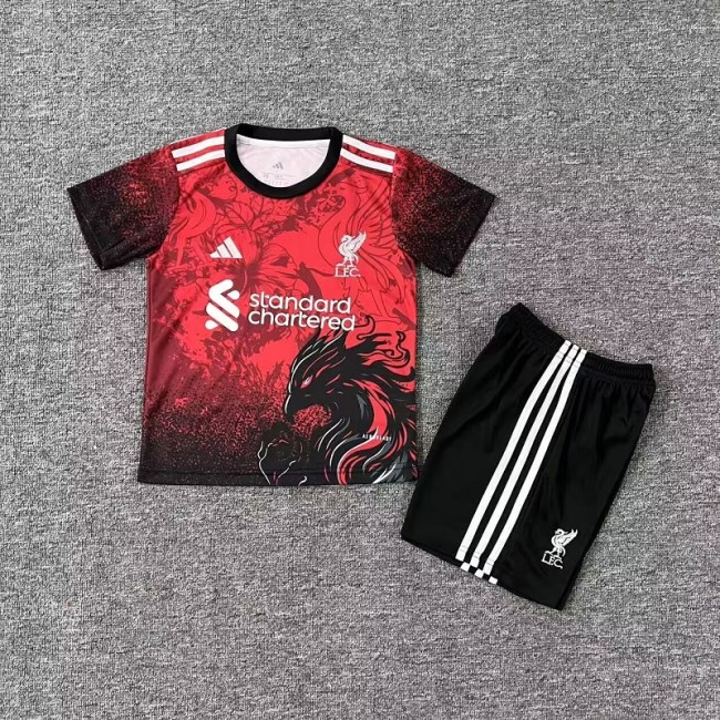 25/26 liverpool Special Edition kids kit