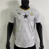 25/26 Ghana home Player version