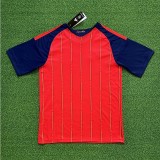 25/26 Spain home football Jersey