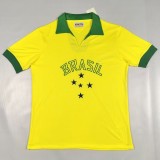 Retro brazil 1958 home