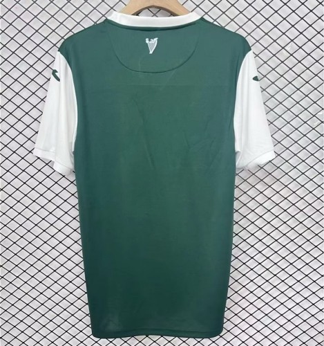 25/26 Hibernian football jersey