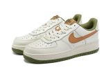 Nike Air Force 1 Low F1
