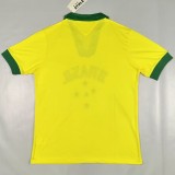 Retro brazil 1958 home